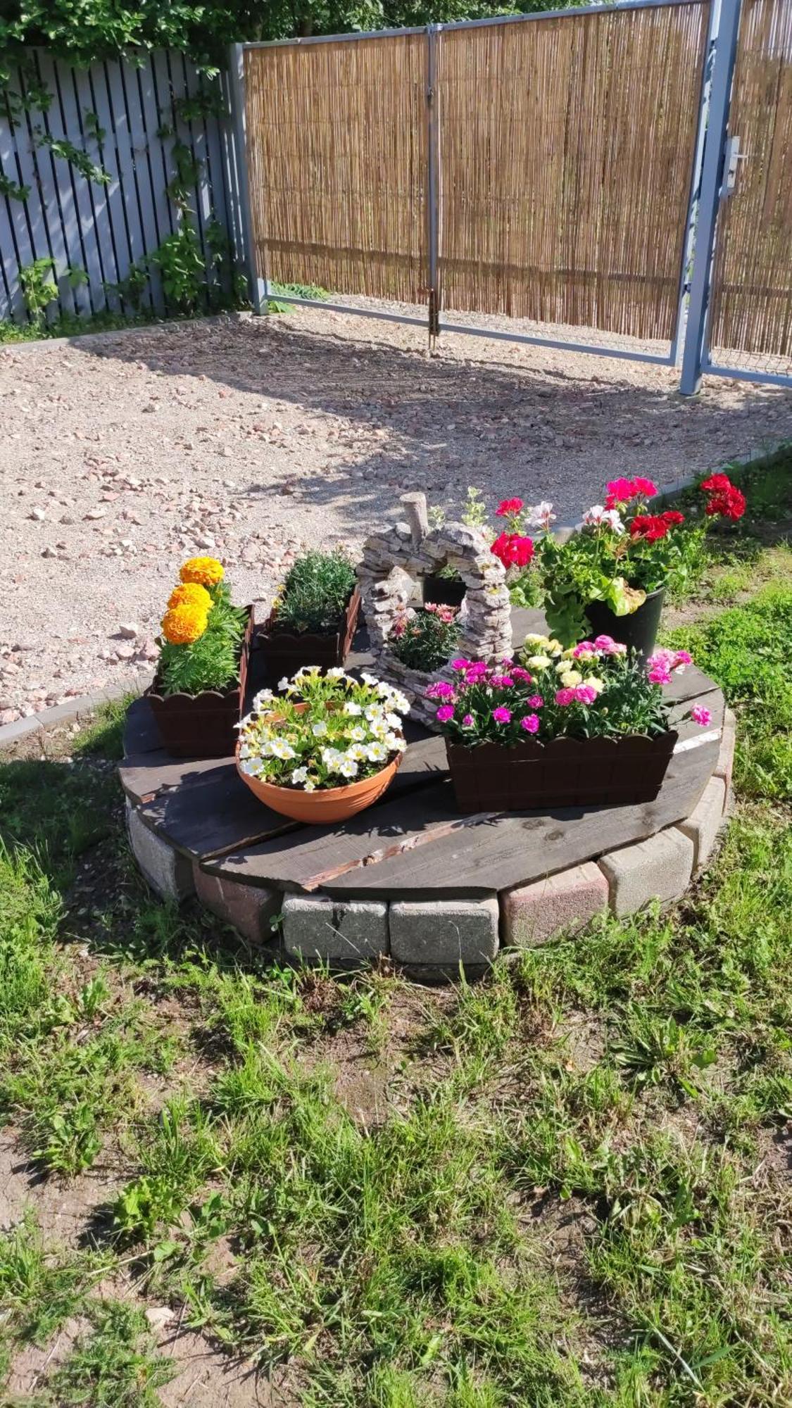 Dukuri Рагациемс